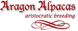 Aragon Alpacas, breeding for fine color fleece