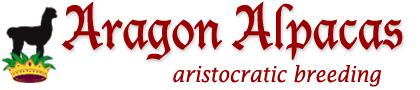 Aragon Alpacas, breeding for fineness in colored fleece